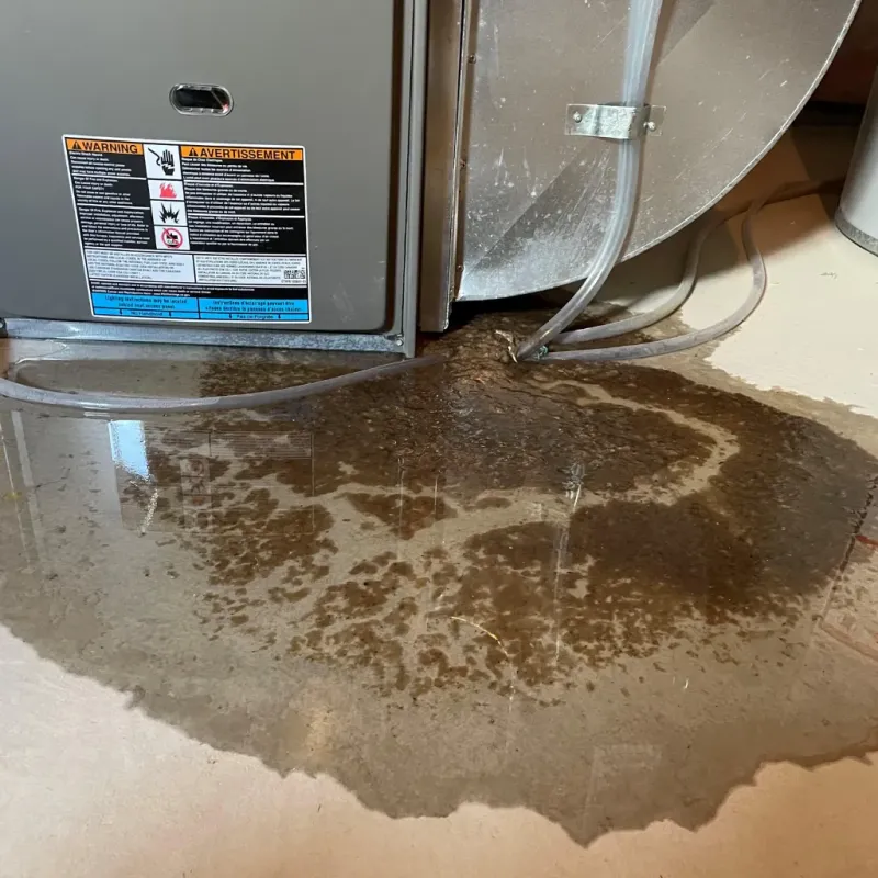 Appliance Leak Cleanup in Bayshore, NC